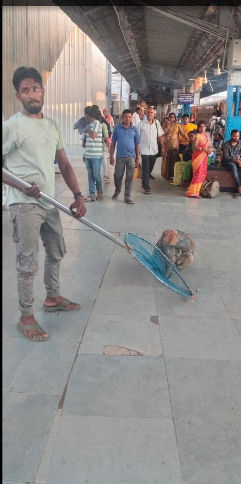 95890b2c-640e-4110-8fdd-1f68735dbce4