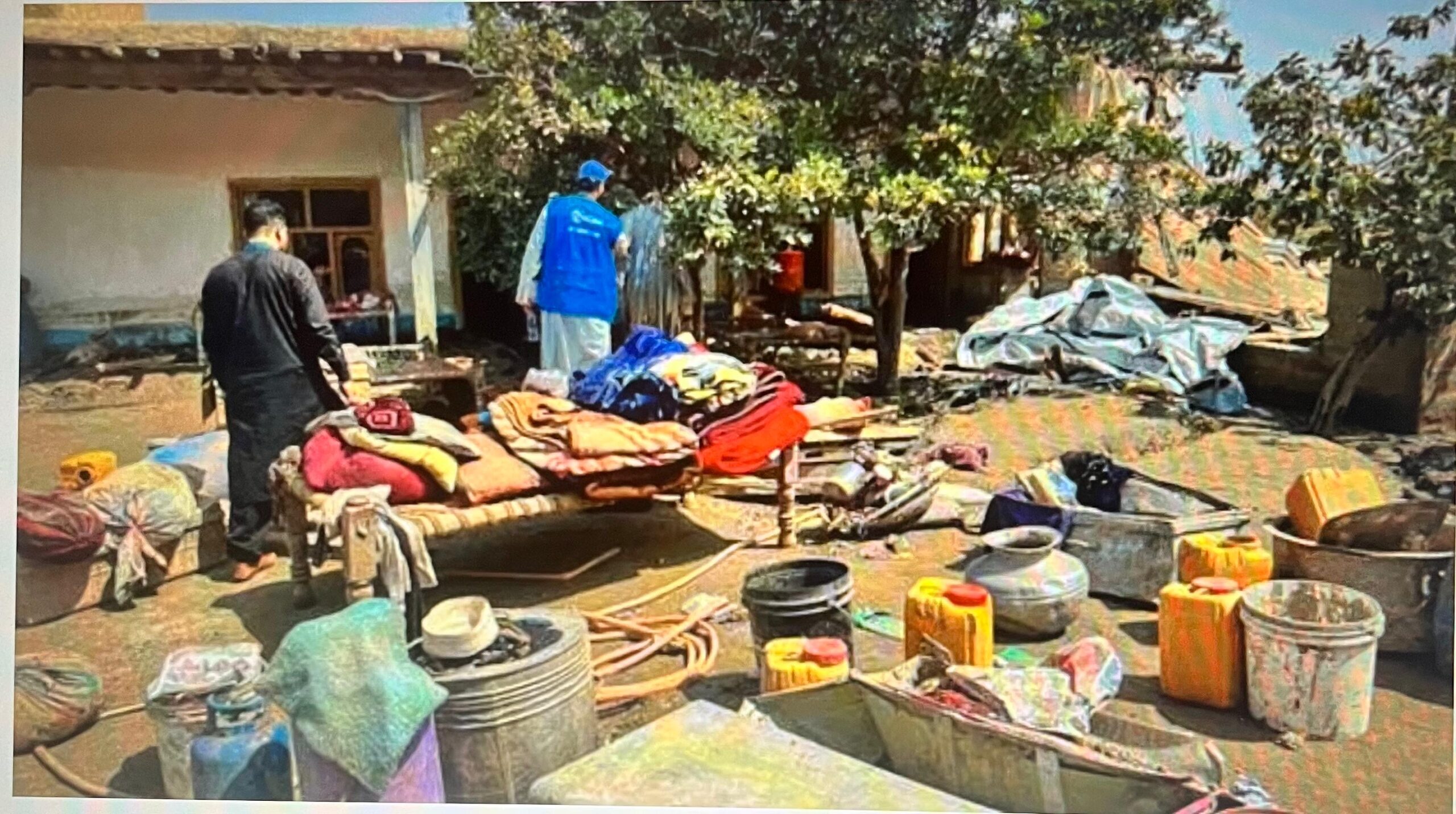 e3cfe4a2-100d-4781-a77c-86e785263ea9