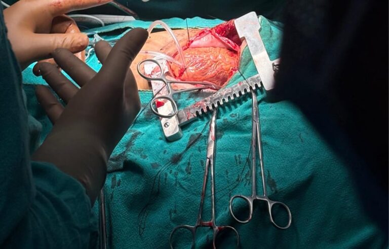 12bcdee5-ce1c-4e4b-ba26-7505c518ca0a