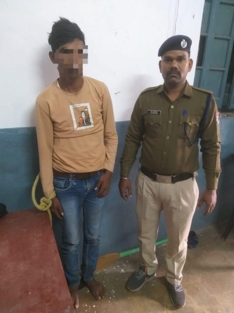 d013f8e8-f3fe-4fda-b797-921cf43976cd