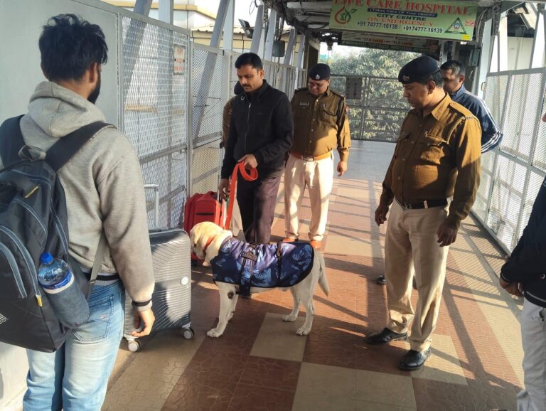 1b3cc990-0ea5-45e7-82b2-7832ff5fcf7e