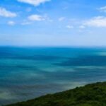 file_215